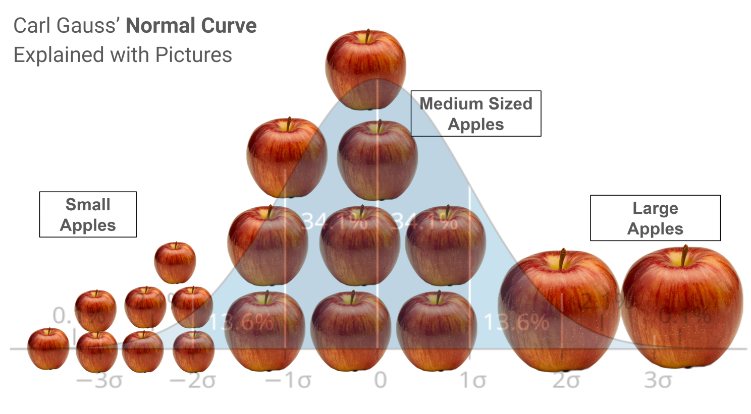 Different sized apples show nature's normal curve